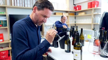 Guide 2025 : deux domaines des Terrasses du Larzac à découvrir d'urgence