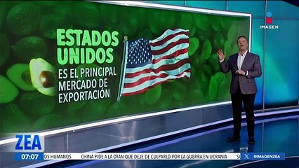 La industria del aguacate en México: Datos y cifras