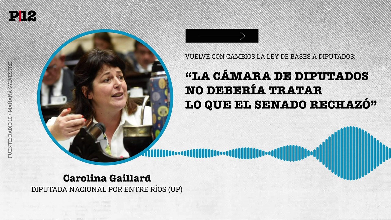 Gaillard advierte que Diputados podría no tratar las modificaciones en la Ley de Bases realizadas en el Senado