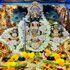 निर्जला एकादशी पर मंदिरों में भजन, बंशीवाला को चढ़ी पानी की मटकियां, फल, राह चलते लोगों ने पीया जूस