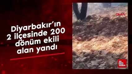 Diyarbakır'ın 2 ilçesinde 200 dönüm ekili alan yandı