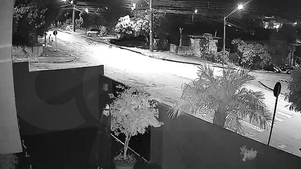 Internauta reclama de cachorros soltos na rua no Bairro Cataratas