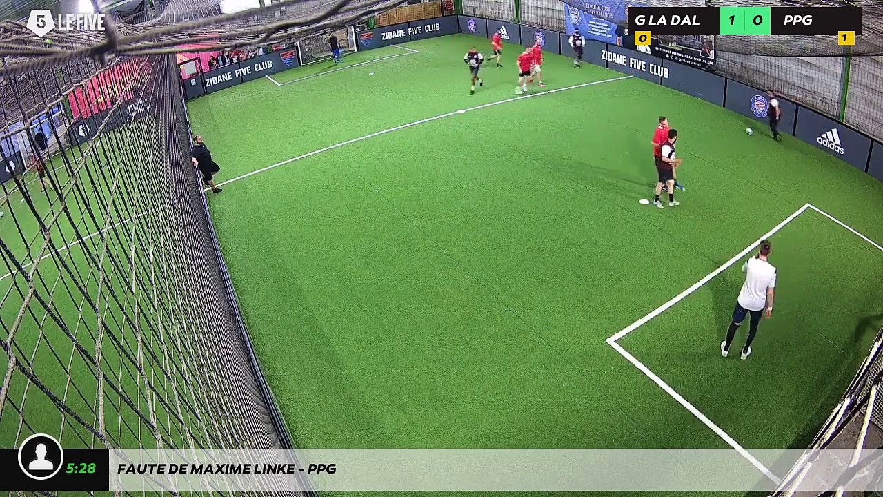 Faute de MAXIME LINKE - PPG