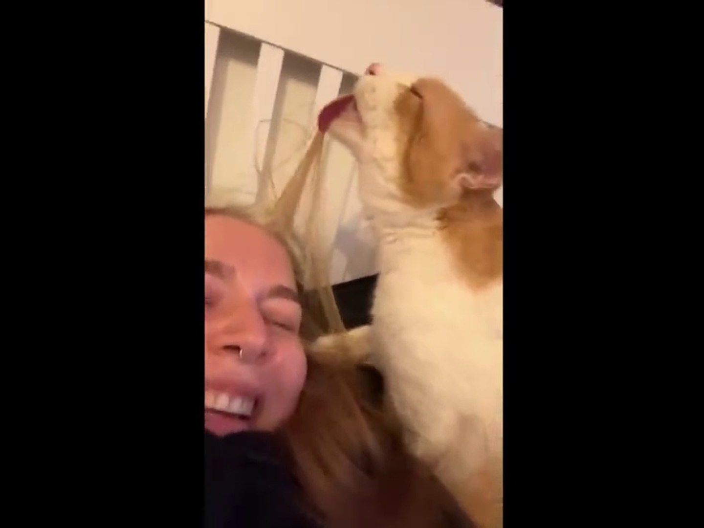 UNUSUAL MEMES COMPILATION