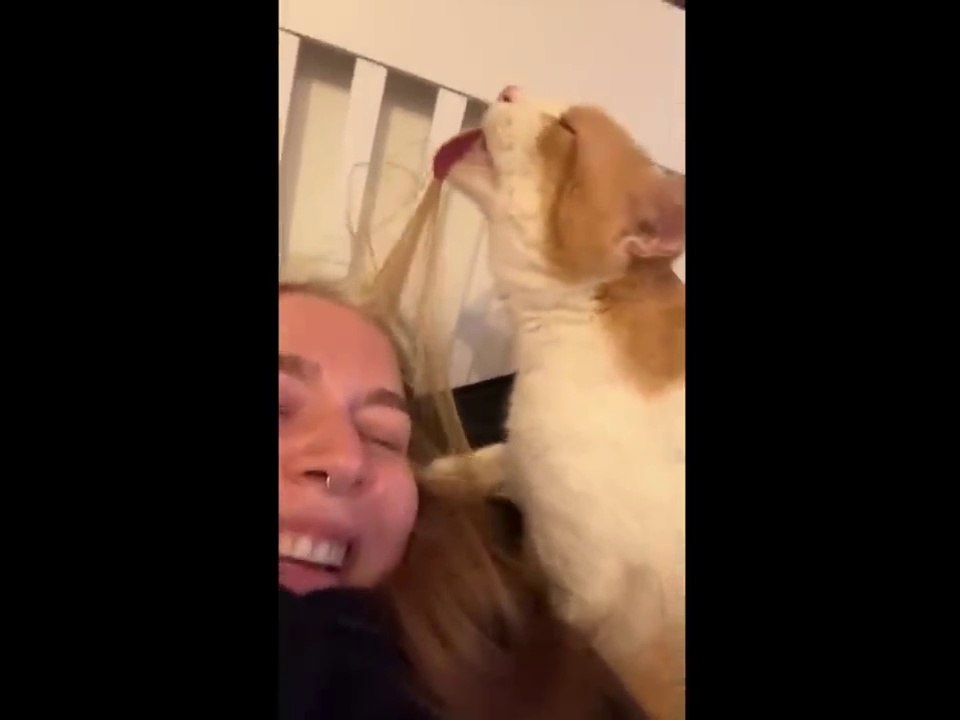 UNUSUAL MEMES COMPILATION