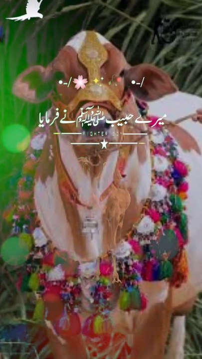 Eid-ul-adha