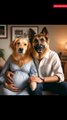 The expectant dog couple/गर्भवती कुत्ता जोड़ी #viral#short#ai#vidhero