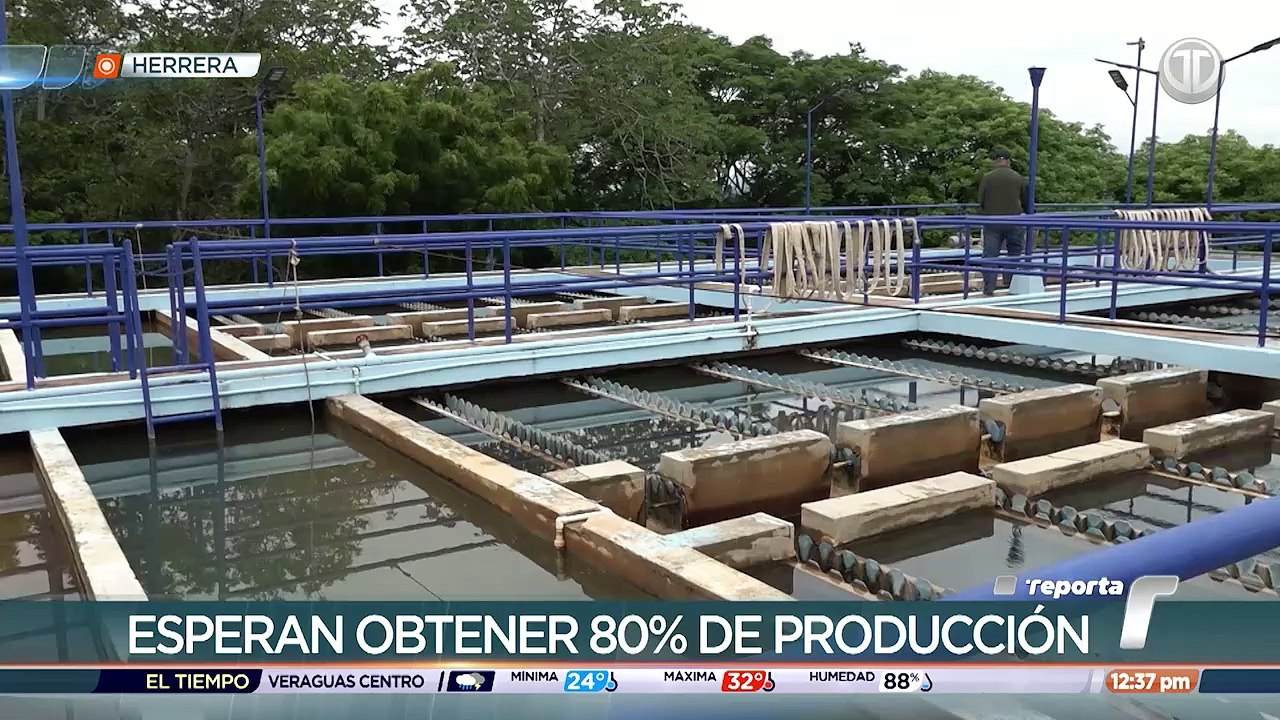 Sin Agua Herrera.mp4