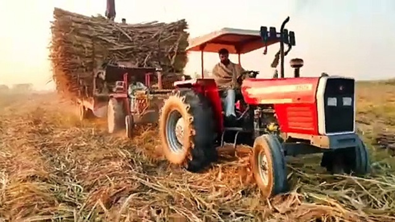 fiat 480 tractor power stunts fails _ mf 385 real power _ tractor trolley sugarcane video(480P)
