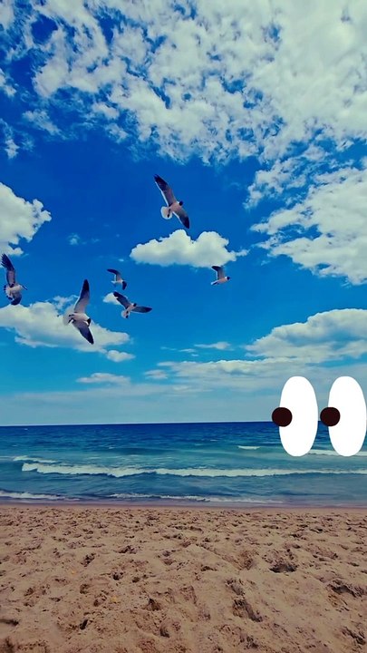 Children & Birds