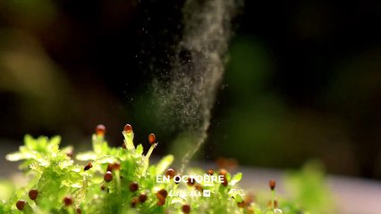 L'abominable mystère des fleurs - Bande annonce