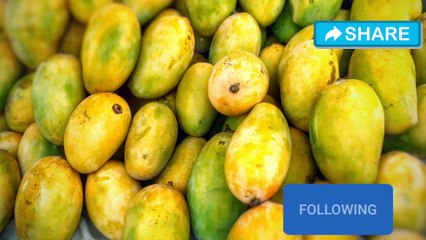 Top ten delicious and nutritional fruits