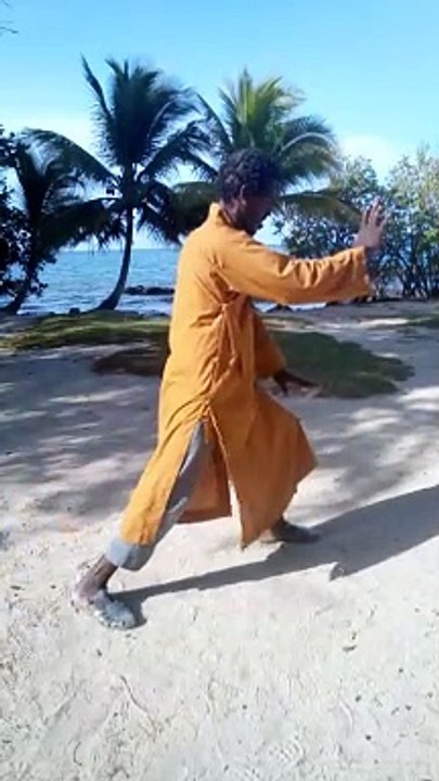 Tai chi master d himmoris Martinica explication des techniques martial