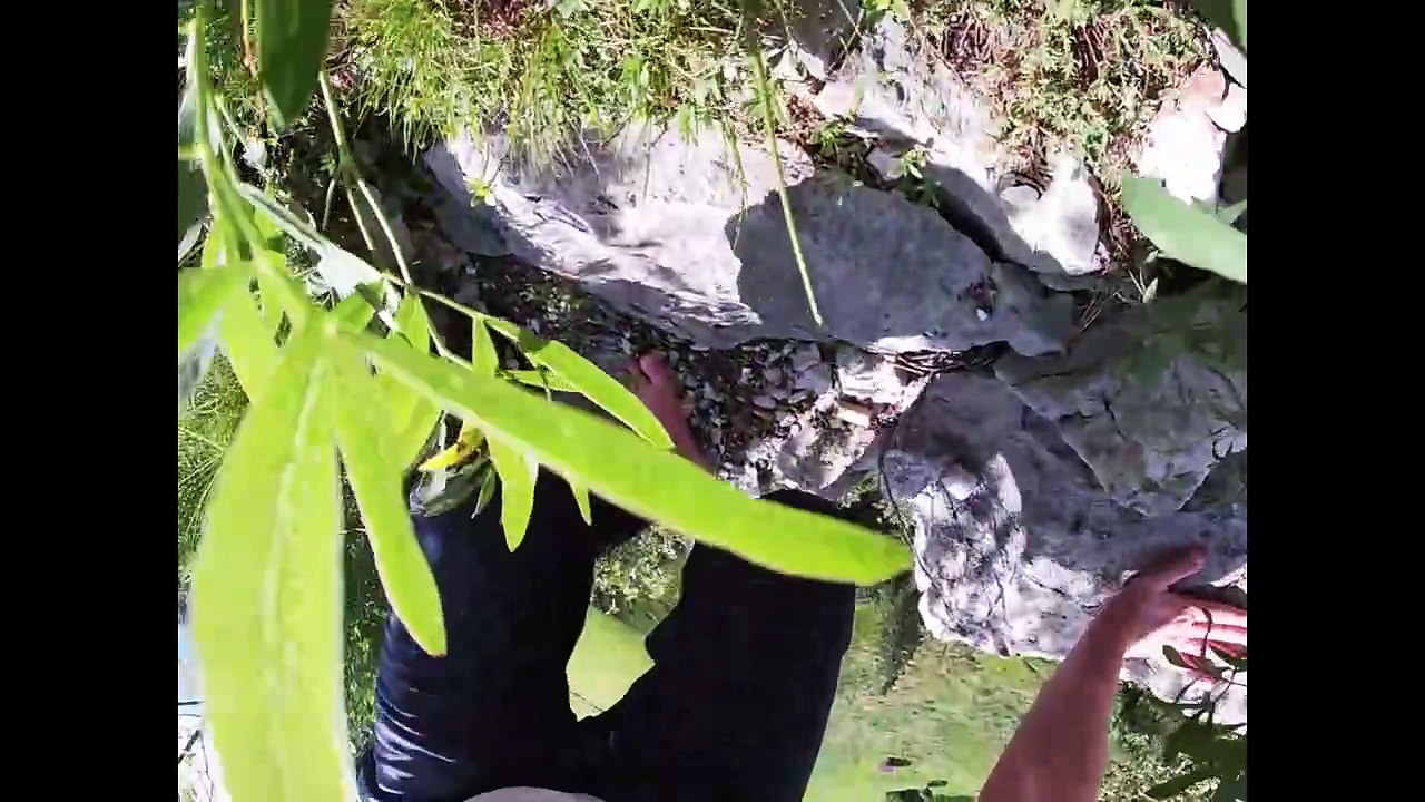 Obstacel are there to be overcome