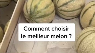 Comment choisir le meilleur melon 