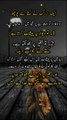 Urdu poetry|quotes|aqwal e zareen|اقوال زریں اسٹیٹس