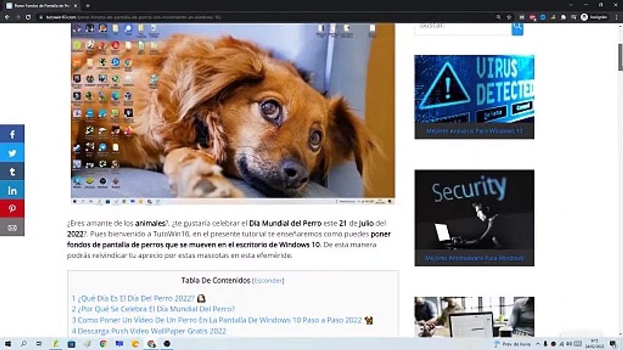  PONER FONDO de PANTALLA de PERROS con MOVIMIENTO en WINDOWS 10 y 11 (DÍA MUNDIAL del PERRO)