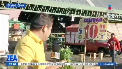 Así el precio del cilantro en la Central de Abasto de la CDMX