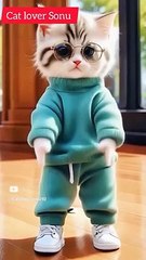 Cute Cat dance|viral cat dance on Dailymotion must watch