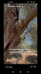 finalmente le cicale si sente l'estate