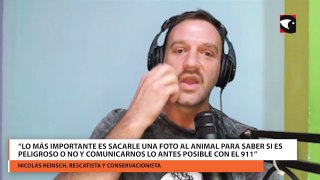 “Lo más importante es sacarle una foto al animal para saber si es peligroso o no y comunicarnos lo antes posible con el 911”.