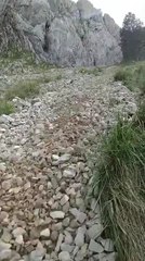 River-Like Rockslide Flows Down Mountain