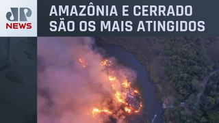 Número de queimadas no Brasil atinge maior nível nos últimos 20 anos