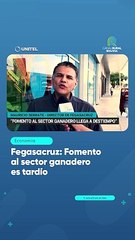 Fegasacruz: Fomento al sector ganadero es tardío
