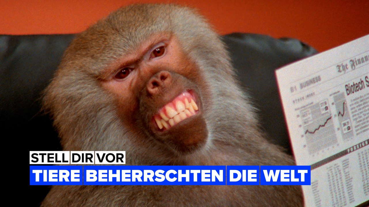 Stell dir vor, Tiere regierten die Welt!