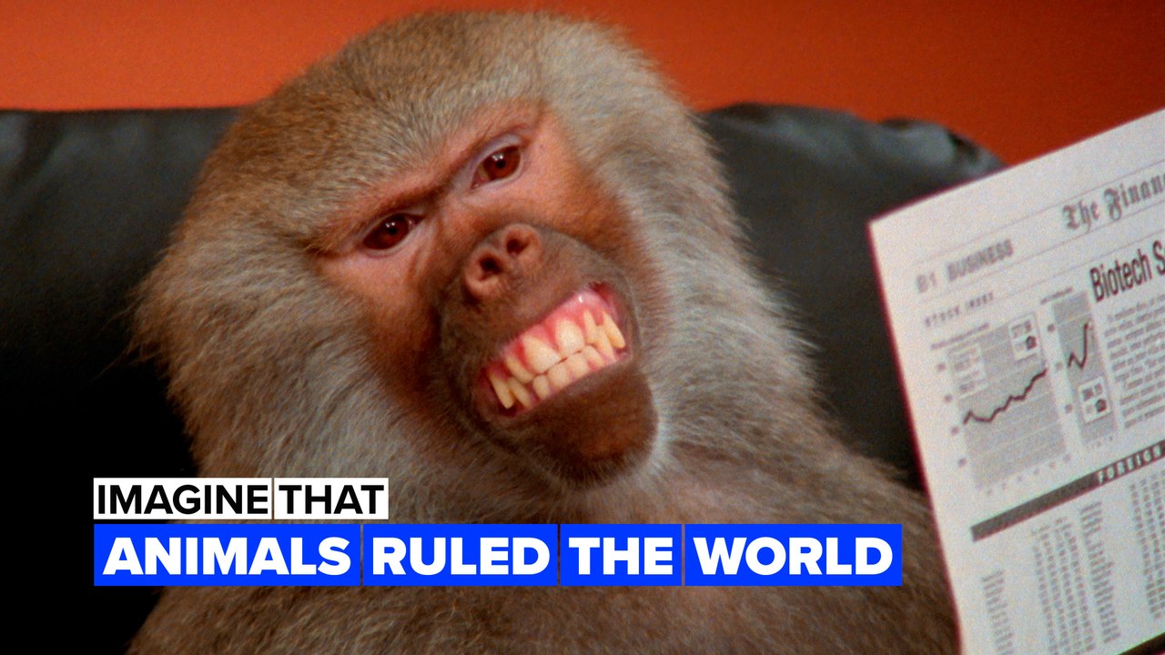 Imagine animals suddenly decided to rule the world
