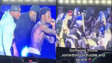 Kodak Black called a fan onto the stage after the fan threw a bottle at him, but he was scared 
