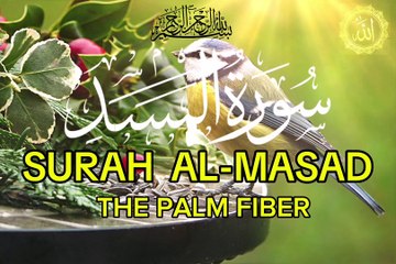 Surah Al-Masad | The Palm Fiber