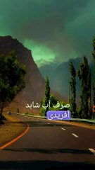 SHAHID AFRIDI POLITICS?