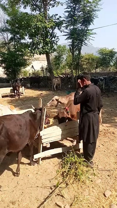 VID_20240614_085821