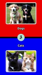 What would you rather?