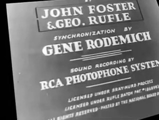 Tom and Jerry Polar Pals