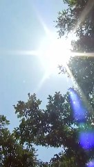 Heat waves are the most DEADLY climate disaster; city design plays key role