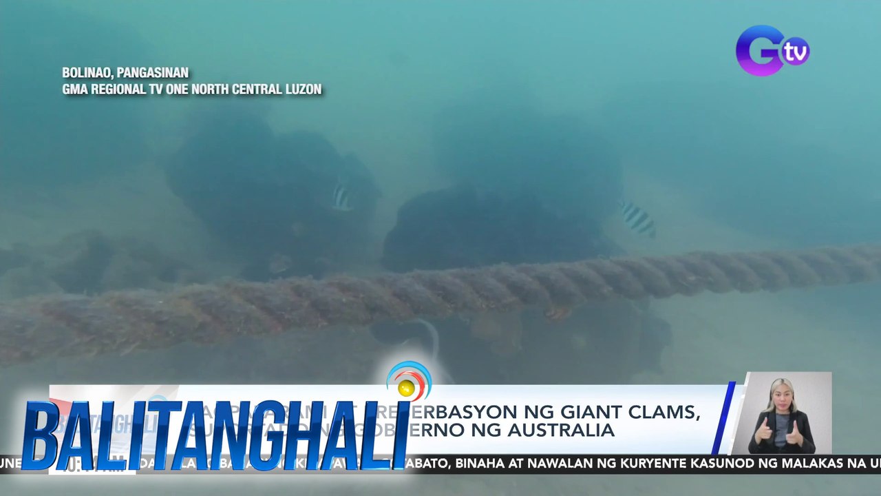 Pagpaparami at preserbasyon ng giant clams, suportado ng gobyerno ng Australia | Balitanghali