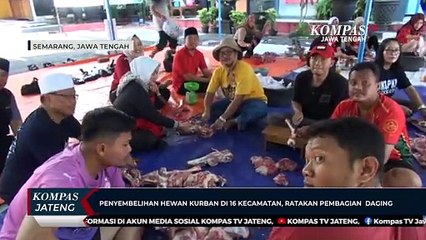 Penyembelihan Hewan Kurban di 16 Kecamatan, Ratakan Pembagian Daging