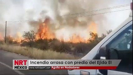 Incendio arrasa con predio del Ejido El Águila en Nadadores