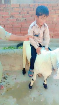 qurabani me laou ga _cute _love _baby verul