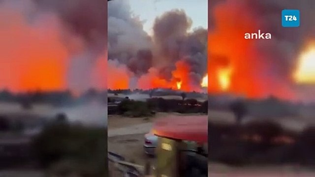 Uşak'ta orman yangını: Alevler rüzgârın etkisiyle büyüdü, çevre illerden takviye ekipler geldi