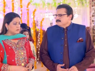 Rang Mahel Pakistani drama Sher Khan