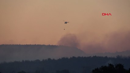 Çanakkale'de orman yangını: Müdahale sürüyor