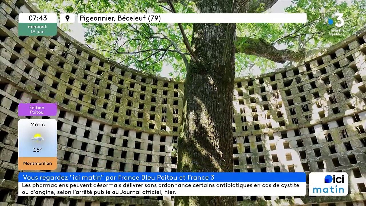 19/06/2024 - Le 6/9 de France Bleu Poitou en vidéo