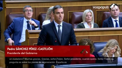 Sánchez: "¿Qué Feijóo tendremos hoy? ¿El que cumple con la Constitución o con sus jefes?"