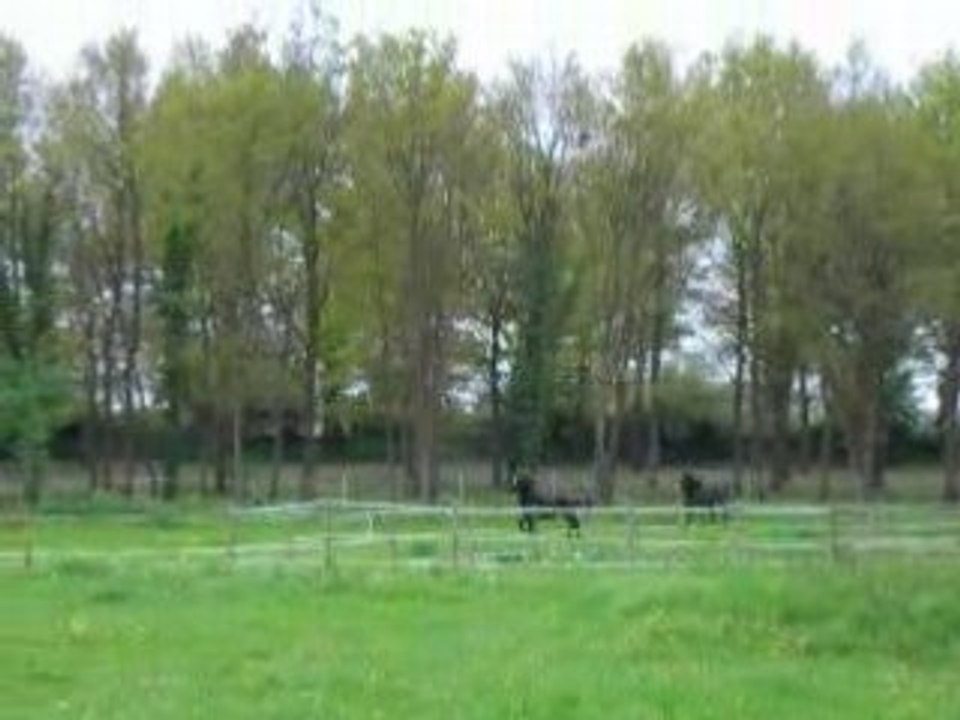 DSCN3591
