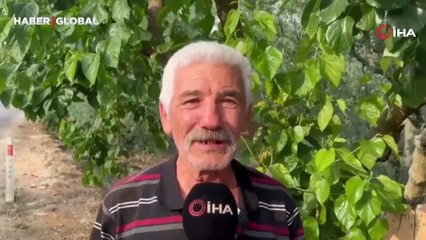 Bu ağaçtan dut yemek helal, yememek haram