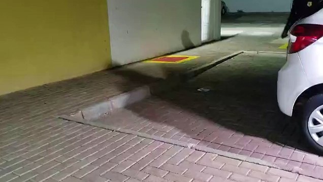 PRF flagra jovem transportando 116 kg de maconha em carro furtado