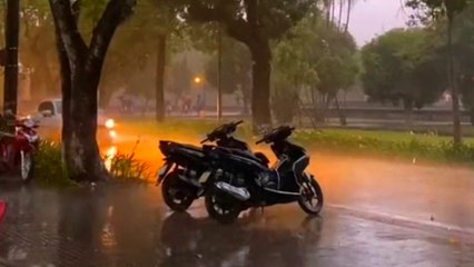 Mưa thơm phố Huế - Tác giả Trương Quang Tuấn